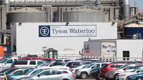 聚眾扎堆,美國多地疫情反彈 新西蘭麥當勞凌晨5點排長隊 專家急了 莫要放松