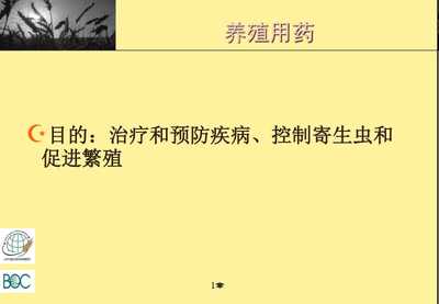 食品安全、質(zhì)量管理及相關(guān)標(biāo)準(zhǔn)體系培訓(xùn)--食品安全與貿(mào)易全球化-免費(fèi)閱讀