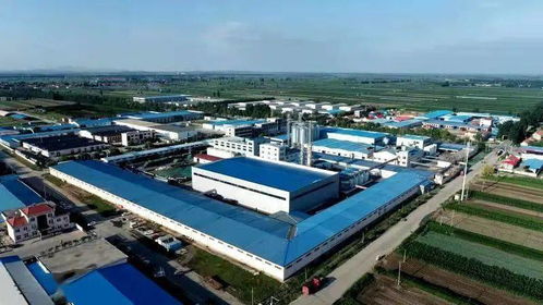 內外貿并進 暢通雙循環(huán) 青島天祥食品集團拓全球市場保持高速增長